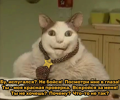 10592